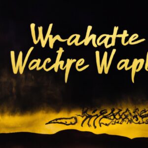 Read more about the article Stalking Through Dense Vegetation – How Apache Warriors Moved Silently Through Thick Brush and Forests